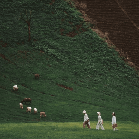 Discover the Power of Tallow: A Nutrient-Rich Fat for Health and Beauty.