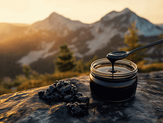 Shilajit Side Effects: Everything You Need to Know.